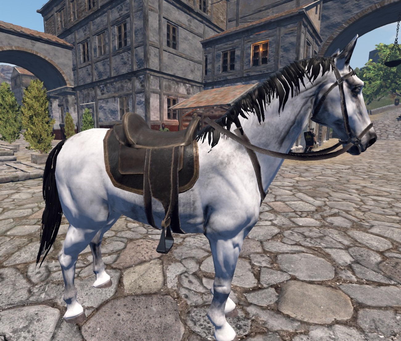 White horse with black mane